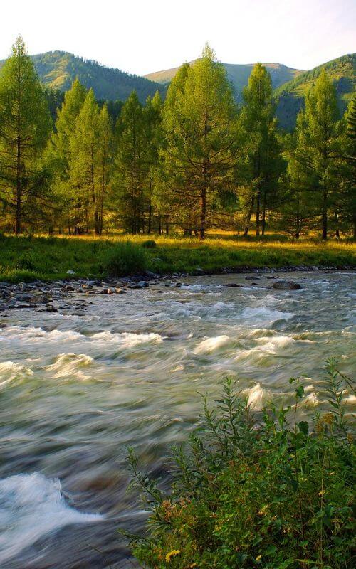 We now stock a range of timbers that are ideal as Siberian Larch alternatives.